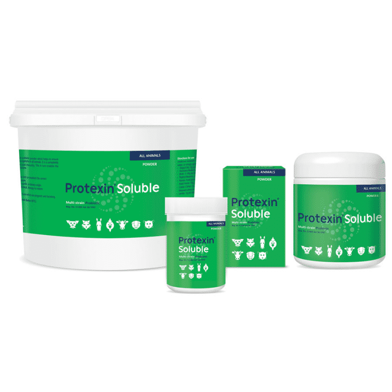 Probiotic For Dogs, Cats & Horses - Protexin Soluble