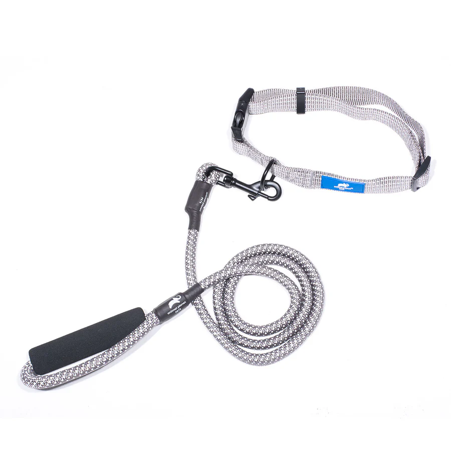 Collar & Rope Lead Bundle Dog - Animal Planet