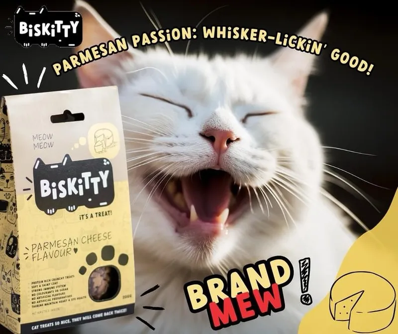 Cat Treats Parmesan Cheese - BisKitty