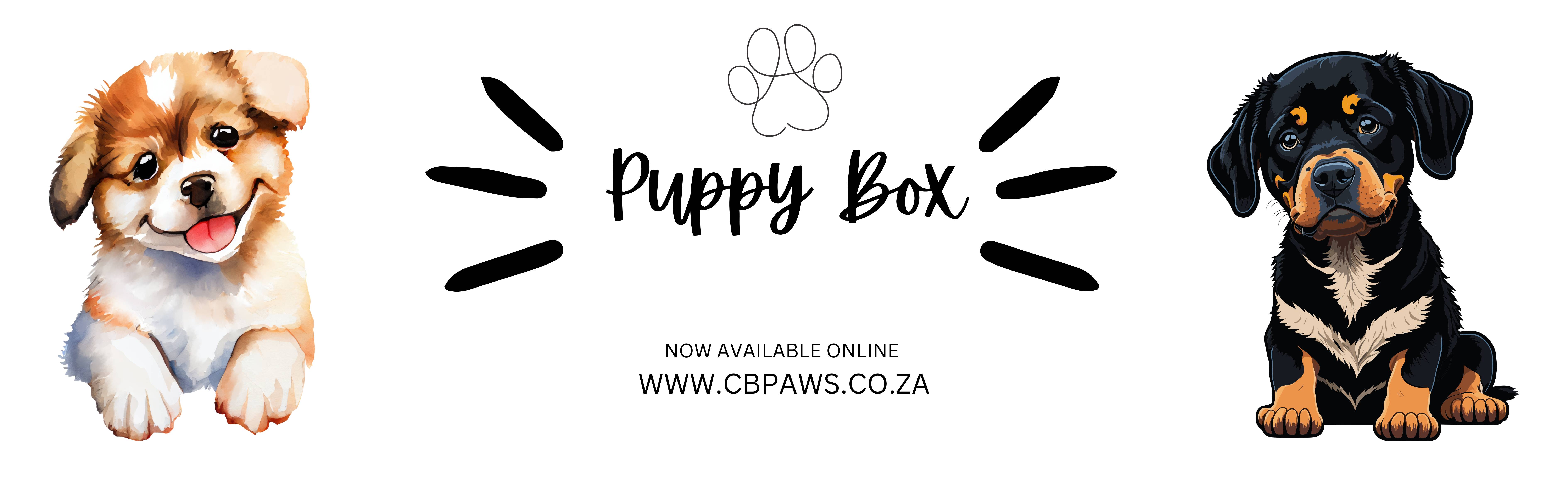 Puppy Boxes 19.05.2024