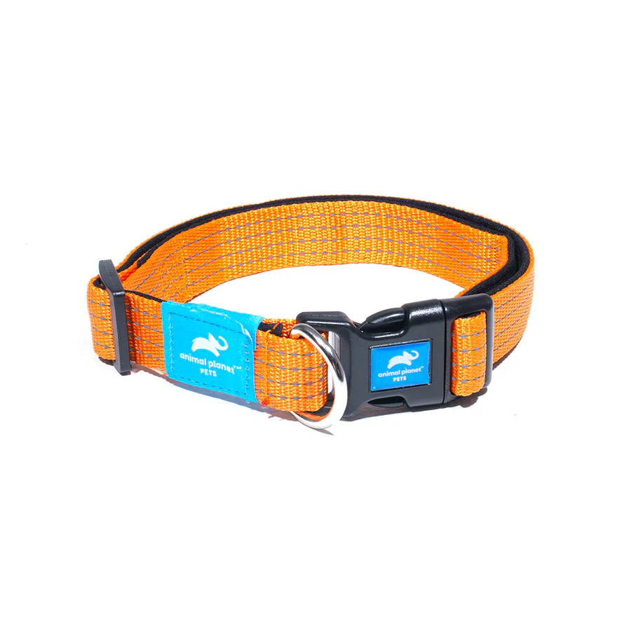 Premium Padded Collar Orange - Animal Planet