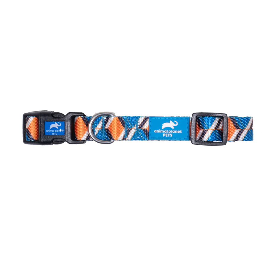 Pattern Collar Orange - Animal Planet