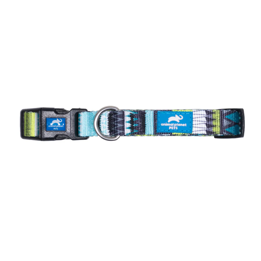 Pattern Collar Turquoise - Animal Planet