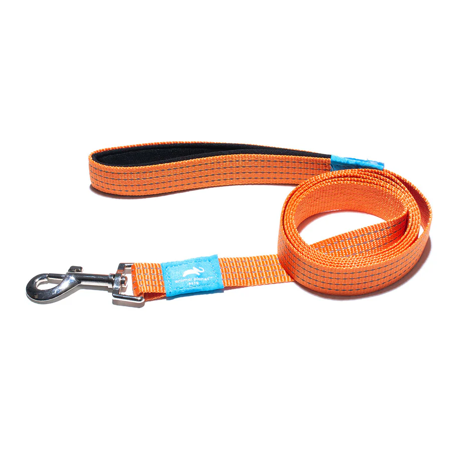 Premium Padded Lead Orange - Animal Planet