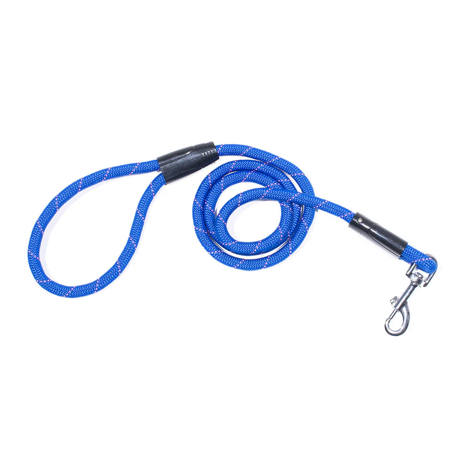 Rope Lead Blue - Animal Planet