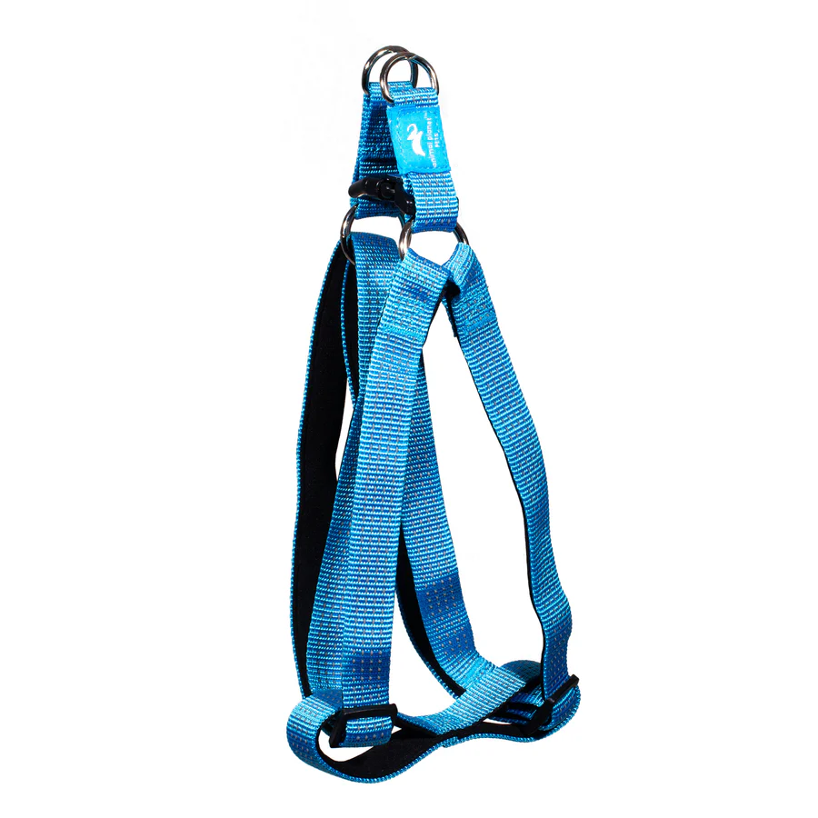 Premium Step-in-Harness Blue - Animal Planet