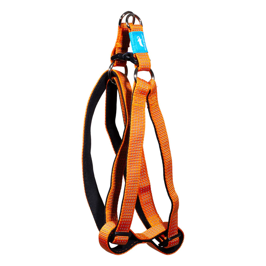 Premium Step-in-Harness Orange - Animal Planet