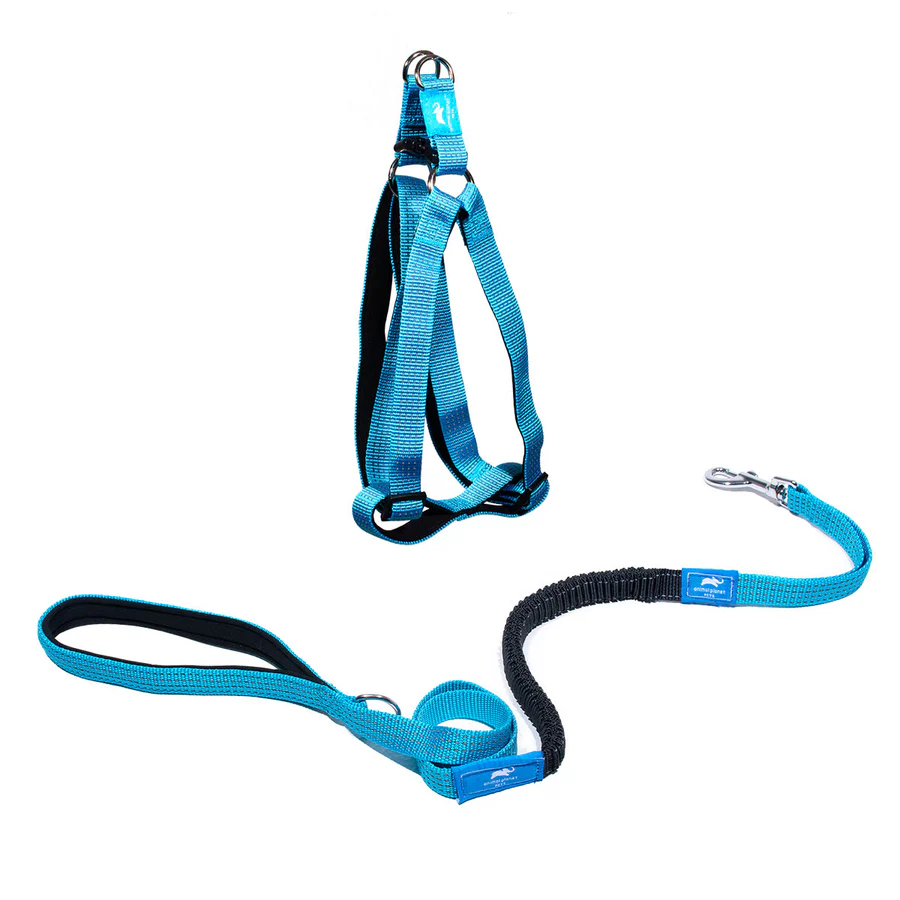 Step-in Harness & Anti-Shock Lead Blue - Animal Planet