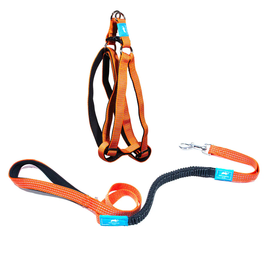 Step-in Harness & Anti-Shock Lead Orange - Animal Planet